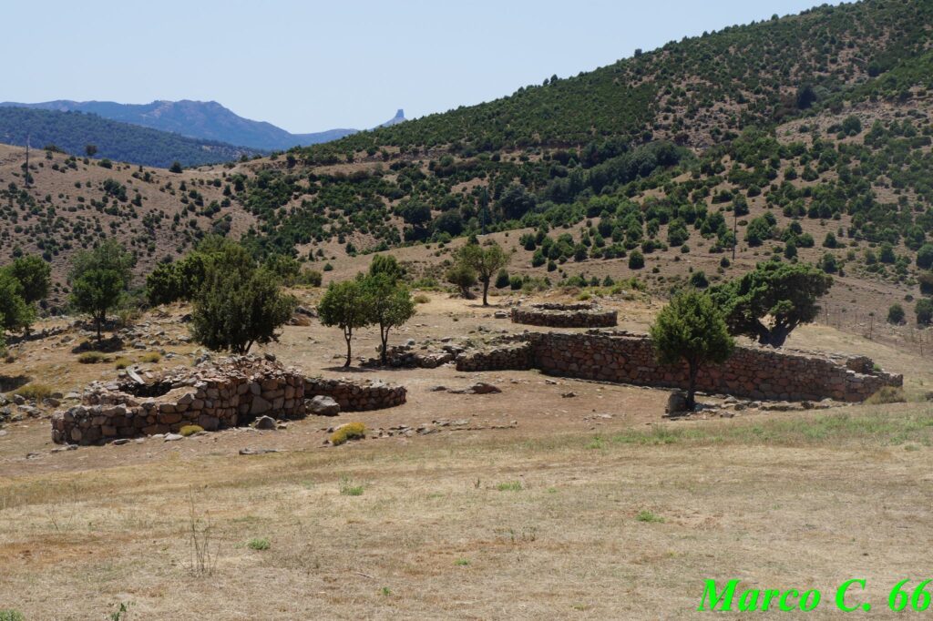 The Arch of the Forros