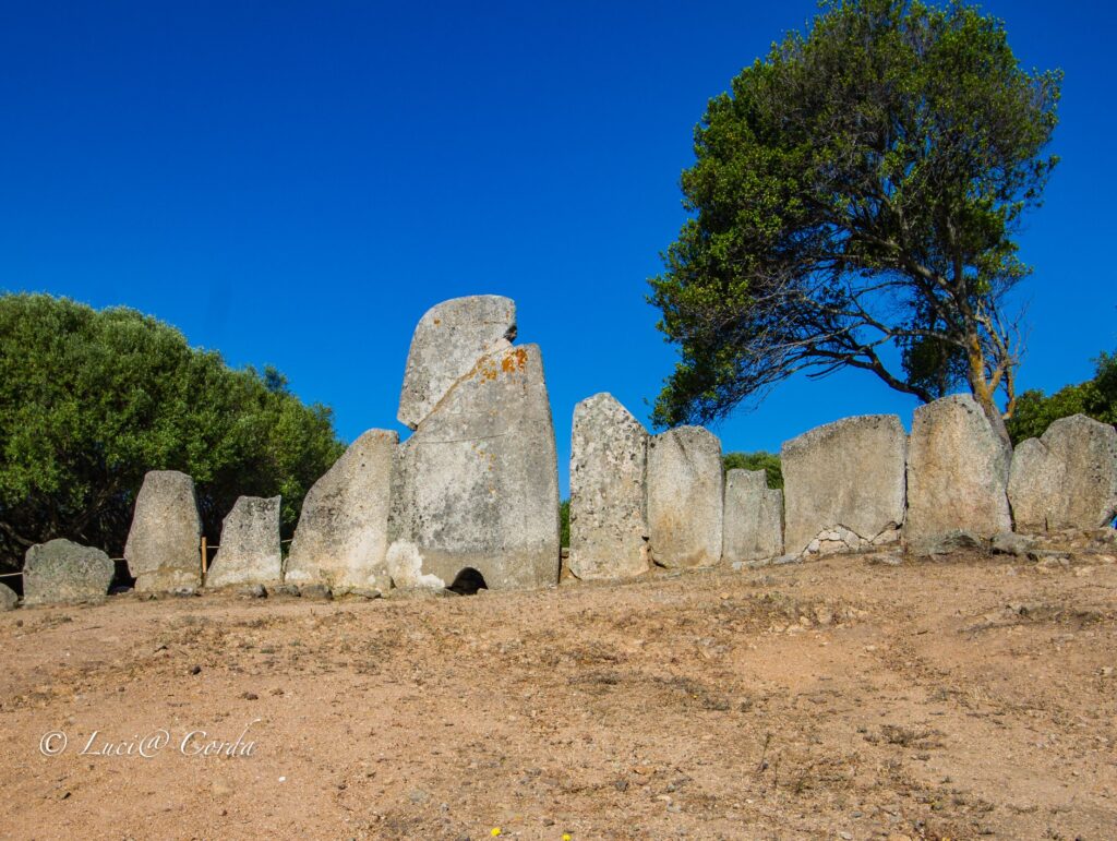 1c: Las tumbas gigantes de Li Lolghi y Moru - Arzachena