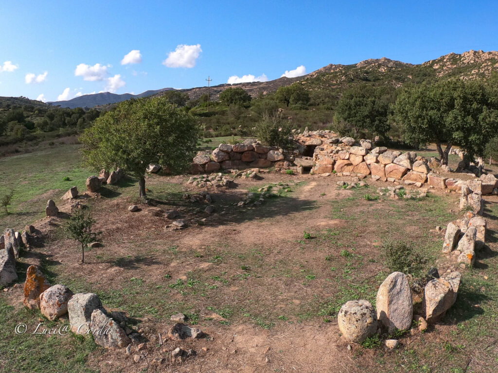 24b: Riesenbautum von San Cosimo und archäologische Struktur von Spadula – Gonnosfanadiga