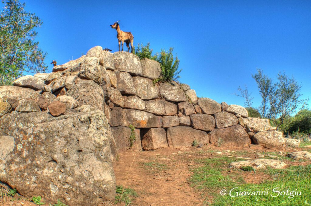 14c: Tomb of the giants Mura Cuada and Nuraghe Atzara - Paulilatino