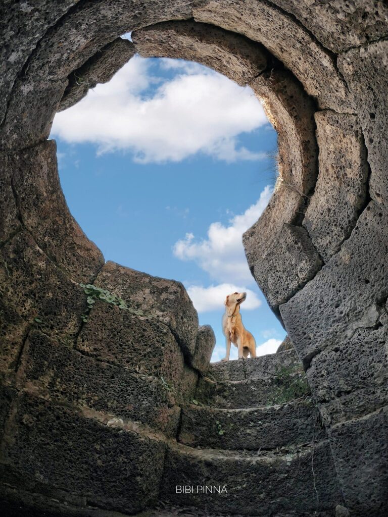 17 and 20 b: Nuraghe Santu Millanu and Well Temple of Coni - Nuragus