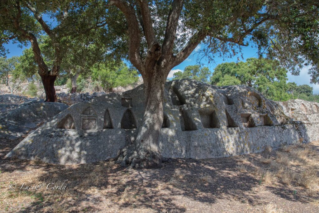 17.2: Sitio rocoso de Santo Stefano - Oschiri