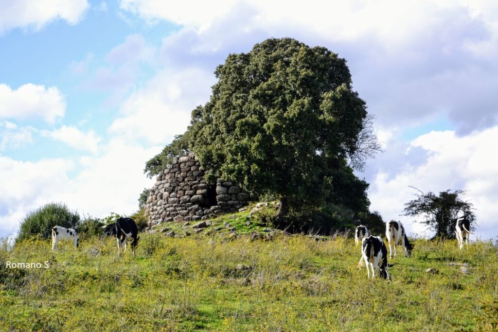 18.2 和 19.2：Nuraghe Funtana ‘e Pedru 在 Ploaghe 和 Nuraghe Riu Runaghe 在 Ardara