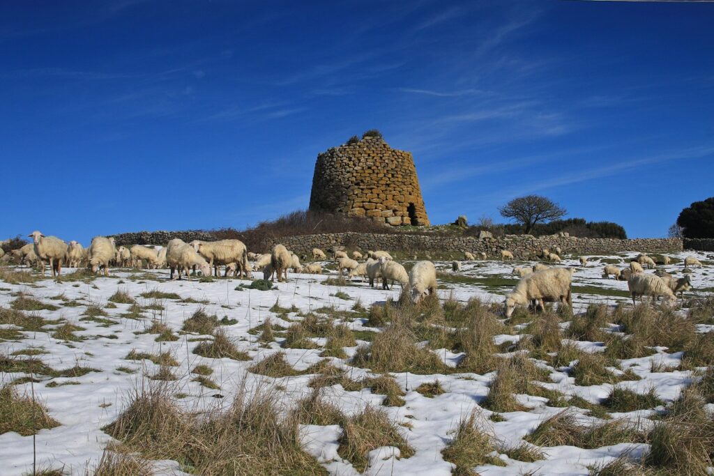 Le “torri” del Marghine- Planargia