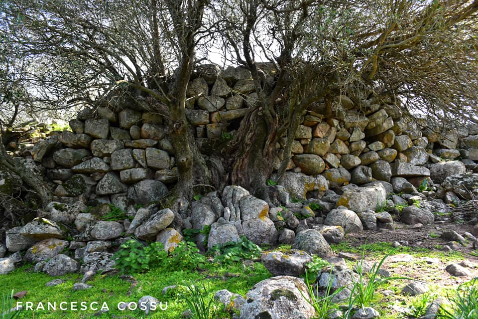 Il nuraghe Torodda a Benetutti
