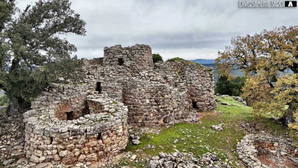 La coltivazione dell’uva in Sardegna in età nuragica